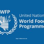 WFP JOBs